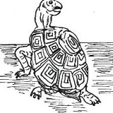 The Turtle