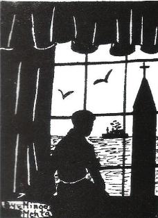 Glimpses from My Window